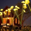 2 Adet Plastik Mantar Sensörlü Solar Bahçe Lambası