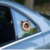 Fulcar Siamesse Araç Stickerı