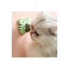 Yengeç Kedi Otu Oyun Topu