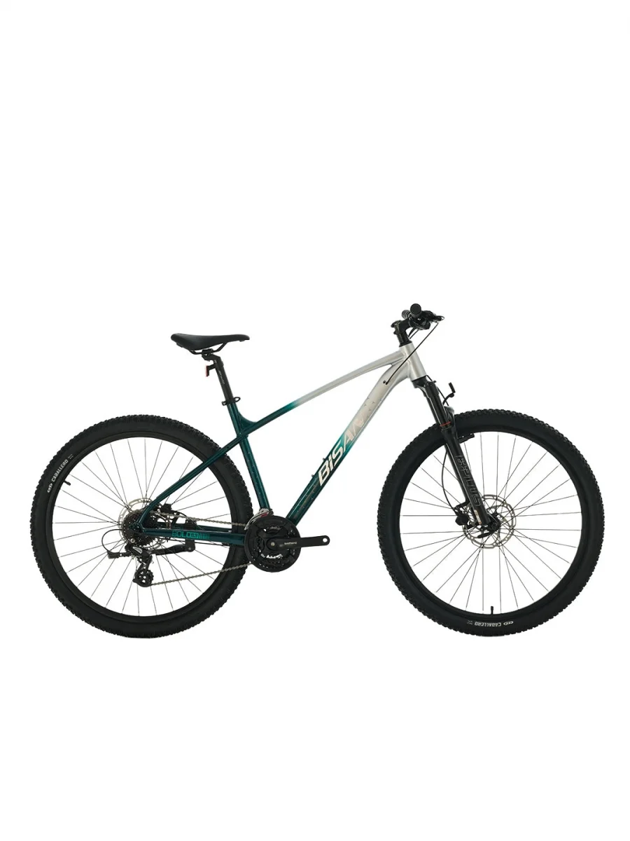 BİSAN BOLD 8.3 ERKEK DAĞ BİSİKLETİ 33CM HD 26 JANT 24 VİTES GRİ KOYU YEŞİL KROM