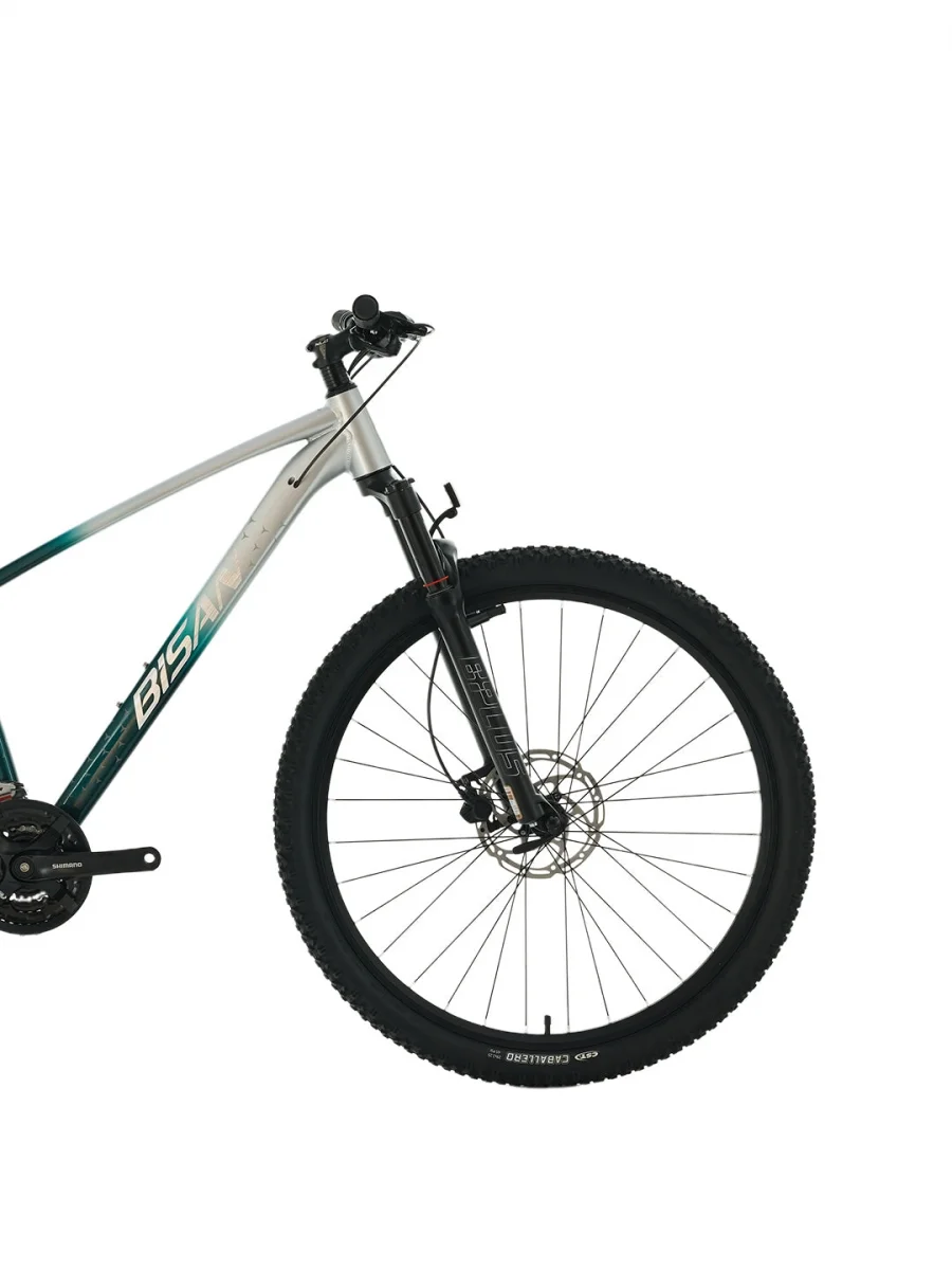 BİSAN BOLD 8.3 ERKEK DAĞ BİSİKLETİ 33CM HD 26 JANT 24 VİTES GRİ KOYU YEŞİL KROM