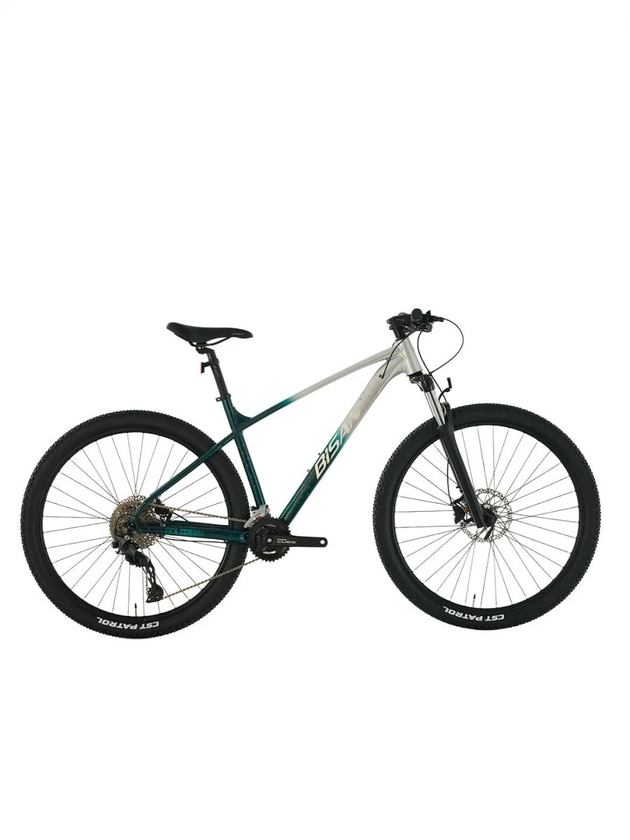 BİSAN BOLD 10.2 ERKEK DAĞ BİSİKLETİ 43CM HD 27.5 JANT 20 VİTES GRİ KOYU YEŞİL KROM