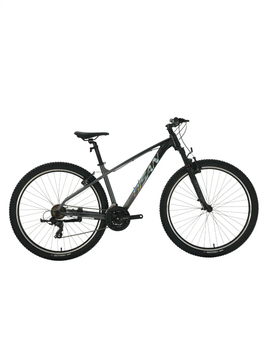 BİSAN BOLD 7.3 ERKEK DAĞ BİSİKLETİ 48CM V 29 JANT 21 VİTES SİYAH GRİ GRİ