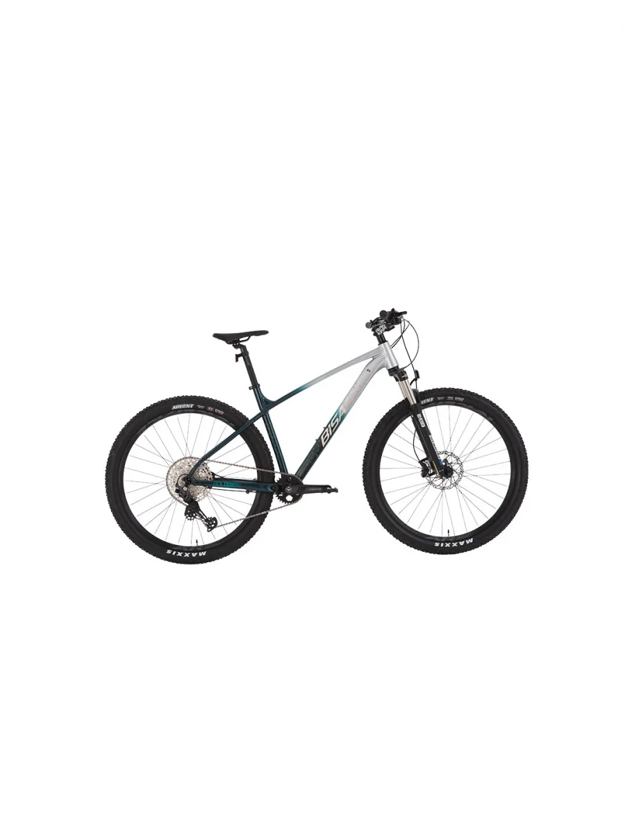 BİSAN BOLD 12.1 ERKEK DAĞ BİSİKLETİ 43CM HD 29 JANT 12 VİTES GRİ KOYU YEŞİL KROM