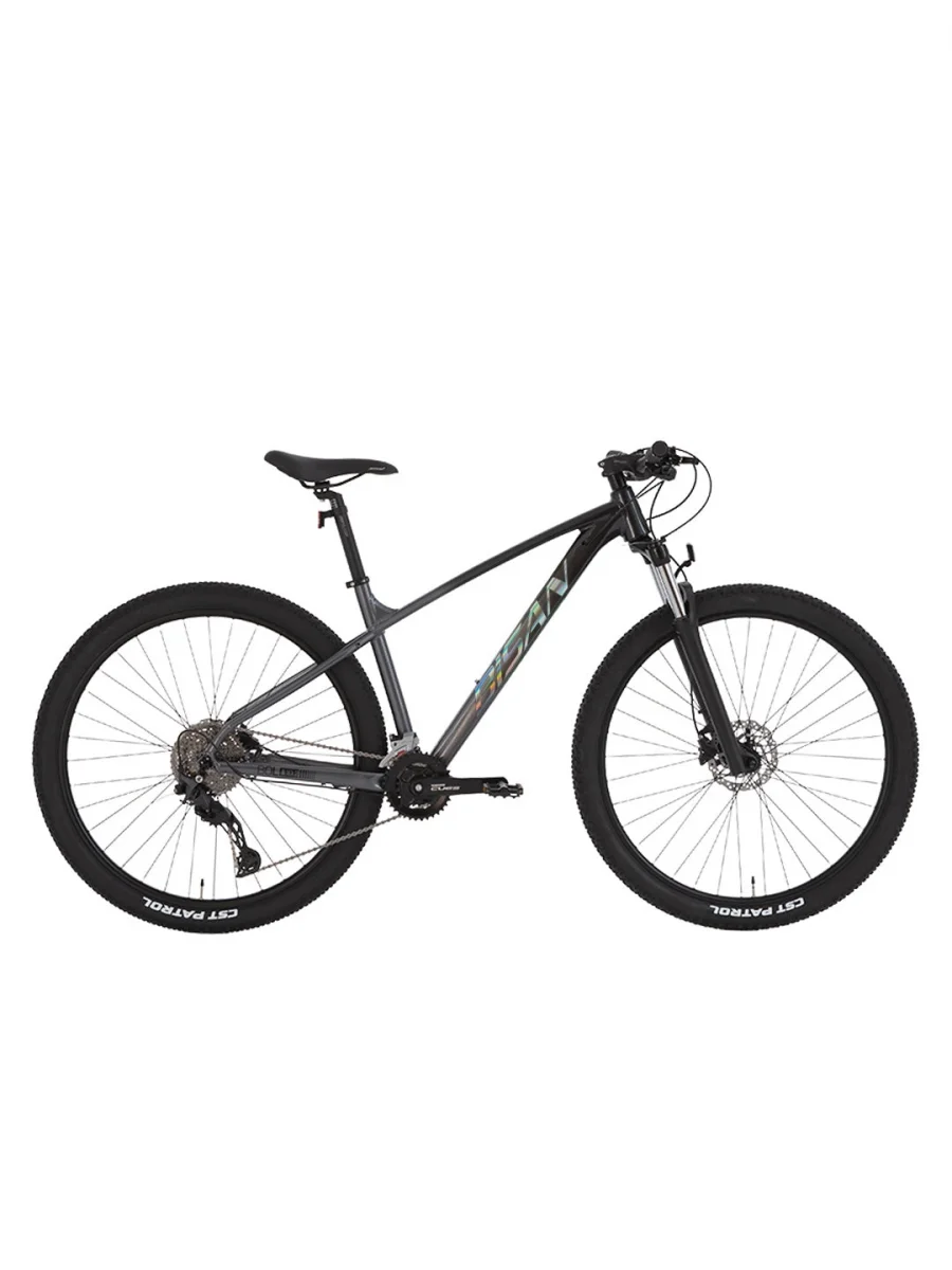 BİSAN BOLD 10.2 ERKEK DAĞ BİSİKLETİ 48CM HD 29 JANT 20 VİTES SİYAH GRİ GRİ