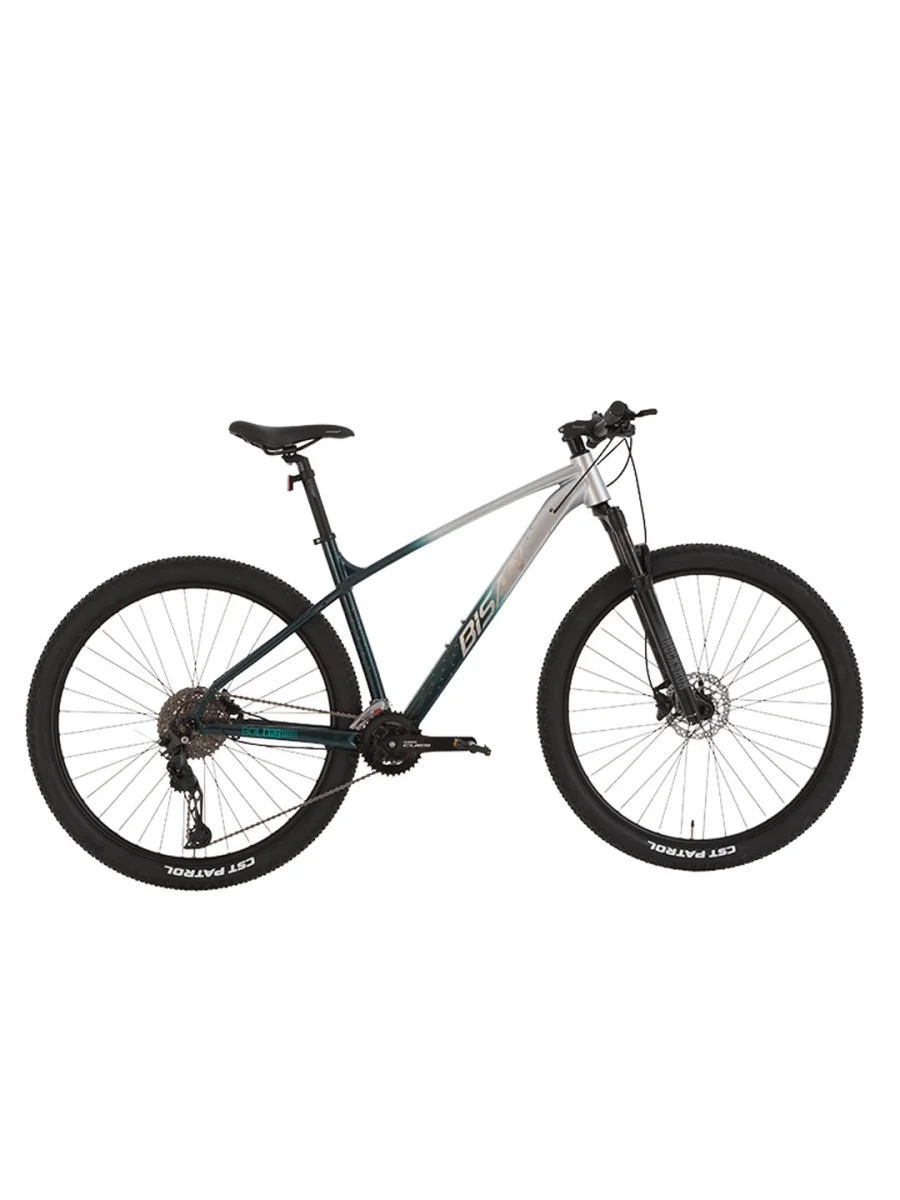 BİSAN BOLD 11.2 ERKEK DAĞ BİSİKLETİ 43CM HD 29 JANT 22 VİTES GRİ KOYU YEŞİL KREM