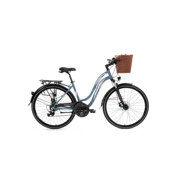BİSAN CTX 6300 BAYAN ŞEHİR BİSİKLETİ 460H MD 28 JANT 21 VİTES GRİ PEMBE