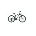 CARRARO SPEED 260 ERKEK DAĞ BİSİKLETİ 410H V 26 JANT 21 VİTES MAT SİYAH YEŞİL KOYU YEŞİL