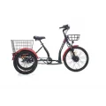 CARRARO E-LINE ePACK 2.1 UNISEX BİSİKLET 410H HD 24 JANT NEX.3 VİTES MAT SİYAH KIRMIZI GRİ