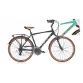 CARRARO ELITE 804 ERKEK ŞEHİR BİSİKLETİ 480H V 28 JANT 24 VİTES MAT TURKUAZ KAHVE BAKIR