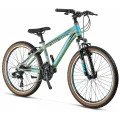 MOSSO WILDFIRE M-24-V ERKEK DAĞ BİSİKLETİ 330H 24 JANT 21 VİTES MAT YEŞİL