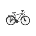 BİSAN COMFORTLİNE ERKEK ŞEHİR BİSİKLETİ 52CM MD 28 JANT 21 VİTES METALİK GRİ YEŞİL