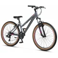 MOSSO WILDFIRE M-26-V ERKEK DAĞ BİSİKLETİ 355H V 26 JANT 21 VİTES MAT ANTRASİT