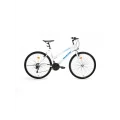 BİSAN DISCOVER KADIN DAĞ BİSİKLETİ 42CM V 26 JANT 21 VİTES METALİK BEYAZ MAVİ