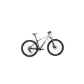 BİSAN BOLD 12.1 ERKEK DAĞ BİSİKLETİ 43CM HD 29 JANT 12 VİTES GRİ KOYU YEŞİL KROM