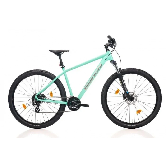 BIANCHI MAGMA 29.1 ALTUS ERKEK DAĞ BİSİKLETİ 530H HD 29 JANT 24 VİTES CK16 CELESTE SİLVER GLOSS