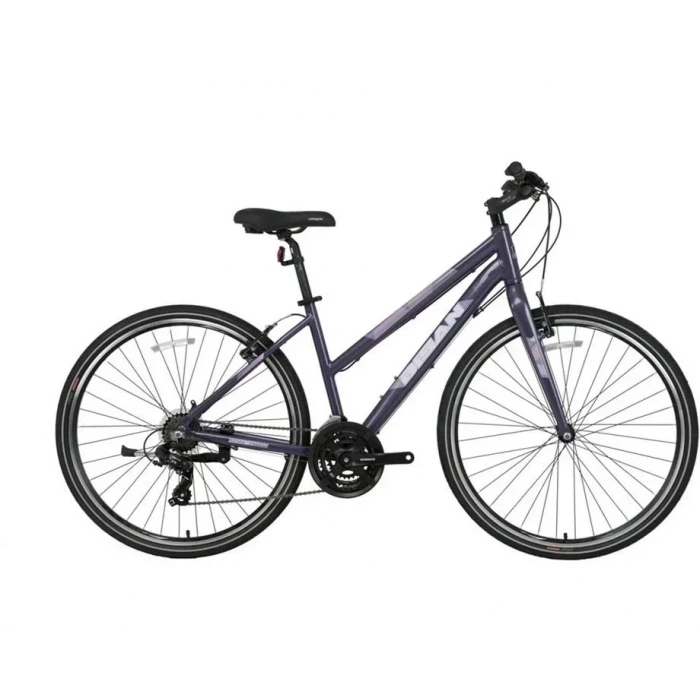 BİSAN GUIDA KADIN ŞEHİR BİSİKLETİ 45CM V 28 JANT 21 VİTES METALİK GRİ MAVİ BEYAZ