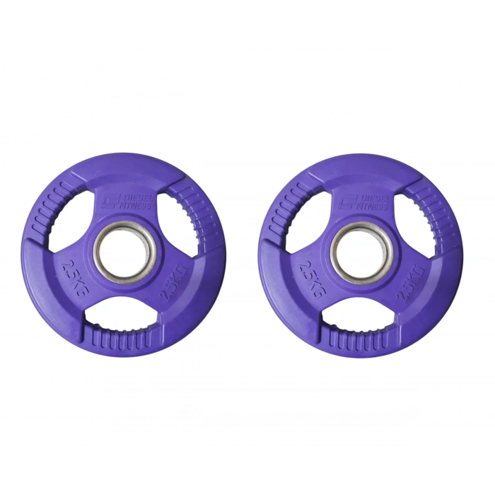 DIESEL FİTNES ROP 4 KAUÇUK FLANŞ PLAKA 2X2.5 KG MOR