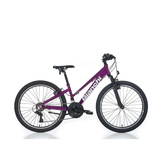 BIANCHI XR24.3 KADIN DAĞ BİSİKLETİ 310H V 24 JANT 21 VİTES MÜRDÜM GRİ