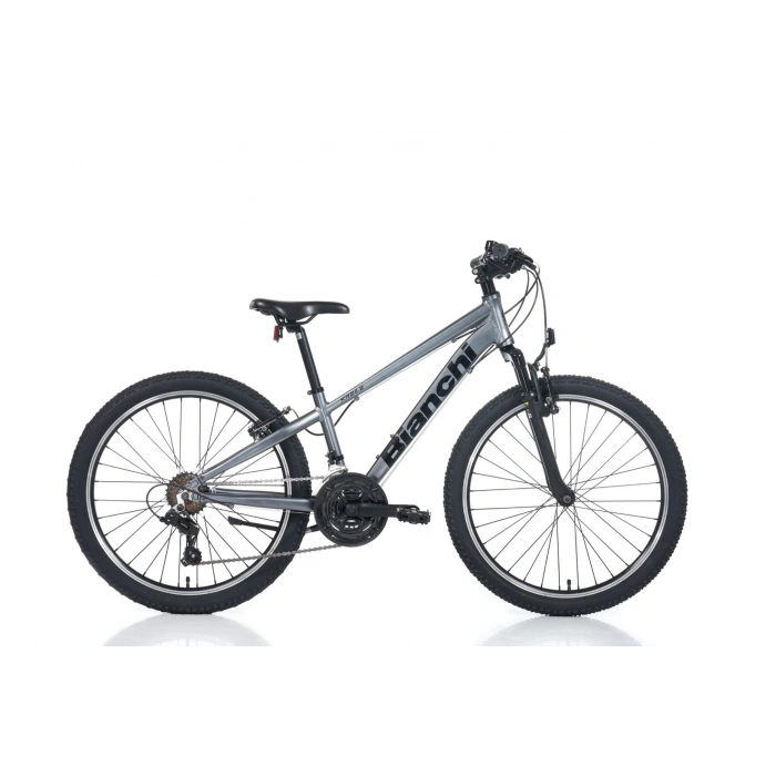 BIANCHI XR24.2 ERKEK DAĞ BİSİKLETİ 310H V 24 JANT 21 VİTES GRİ SİYAH