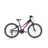 BIANCHI XR24.3 KADIN DAĞ BİSİKLETİ 310H V 24 JANT 21 VİTES SİYAH PEMBE