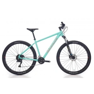 BIANCHI MAGMA 29.1 ALTUS ERKEK DAĞ BİSİKLETİ 480H HD 29 JANT 24 VİTES CK16 CELESTE SİLVER GLOSS
