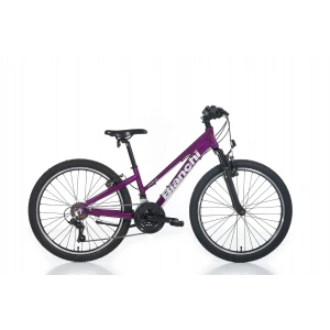 BIANCHI XR24.3 KADIN DAĞ BİSİKLETİ 310H V 24 JANT 21 VİTES MÜRDÜM GRİ