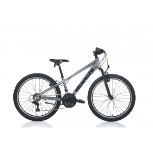 BIANCHI XR24.2 ERKEK DAĞ BİSİKLETİ 310H V 24 JANT 21 VİTES GRİ SİYAH