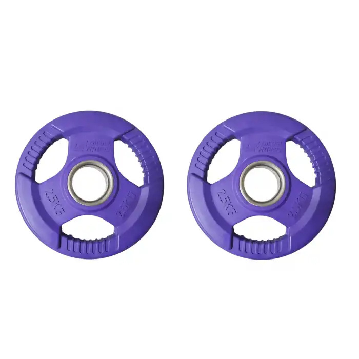 DIESEL FİTNES ROP 4 KAUÇUK FLANŞ PLAKA 2X2.5 KG MOR