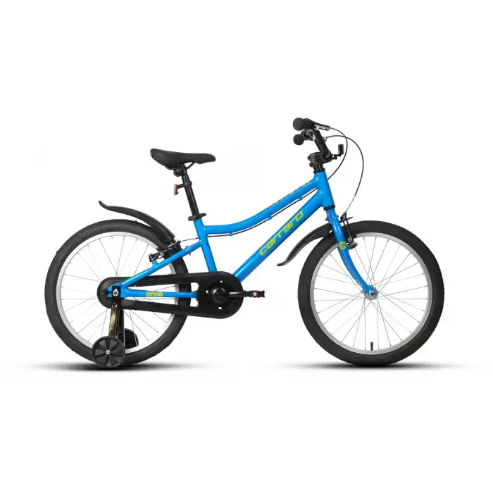 CARRARO DINO KIZ ÇOCUK BİSİKLETİ 285H V 20 JANT MAVİ LİMON YEŞİL
