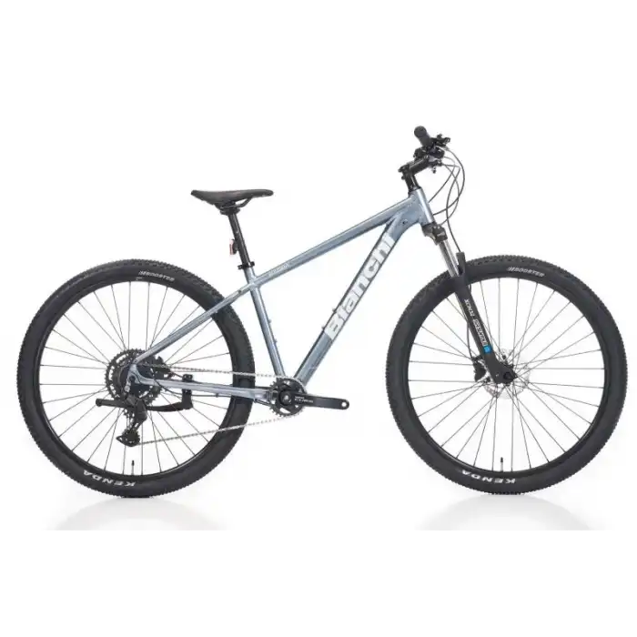BIANCHI MAGMA 29.2 CUES ERKEK DAĞ BİSİKLETİ 480H HD 29 JANT 9 VİTES LB GRİ BEYAZ