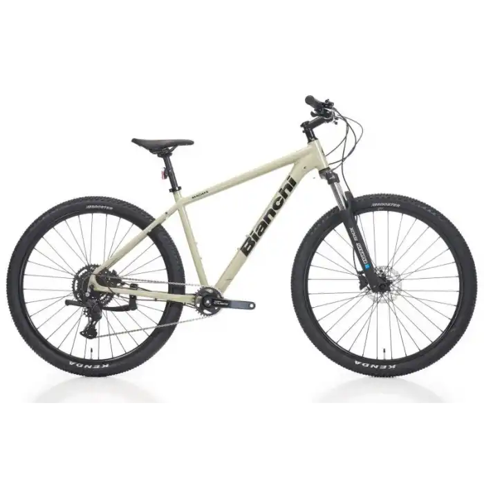 BIANCHI MAGMA 29.2 CUES ERKEK DAĞ BİSİKLETİ 430H HD 29 JANT 9 VİTES LO ADAÇAYI YEŞİL SİYAH