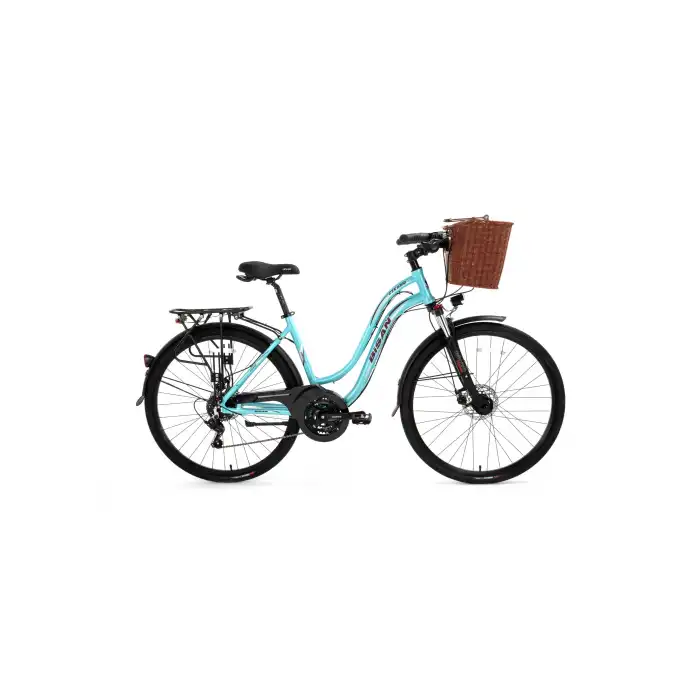 BİSAN CTX 6300 BAYAN ŞEHİR BİSİKLETİ 460H MD 28 JANT 21 VİTES TURKUAZ BORDO