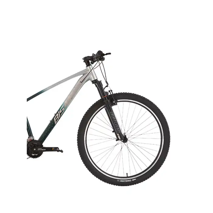 BİSAN BOLD 7.3 ERKEK DAĞ BİSİKLETİ 43CM V 29 JANT 21 VİTES GRİ KOYU YEŞİL KROM