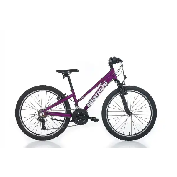 BIANCHI XR24.3 KADIN DAĞ BİSİKLETİ 310H V 24 JANT 21 VİTES MÜRDÜM GRİ
