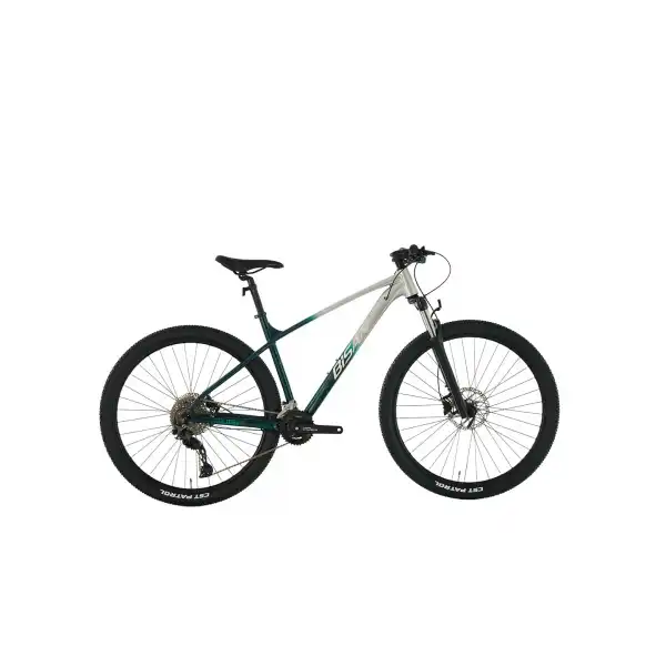 BİSAN BOLD 10.2 ERKEK DAĞ BİSİKLETİ 48CM HD 29 JANT 20 VİTES GRİ KOYU YEŞİL KROM