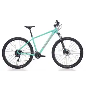 BIANCHI MAGMA 29.1 ALTUS ERKEK DAĞ BİSİKLETİ 480H HD 29 JANT 24 VİTES CK16 CELESTE SİLVER GLOSS