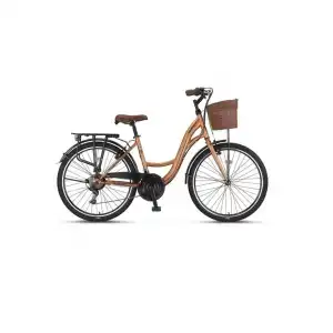 ÜMİT 2810 ALANYA SEPETLİ KADIN ŞEHİR BİSİKLETİ V 28 JANT 21 VİTES GOLD SİYAH