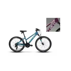 CARRARO FORCE 401 KADIN DAĞ BİSİKLETİ 325H V 24 JANT 21 VİTES MAT MÜRDÜM PEMBE