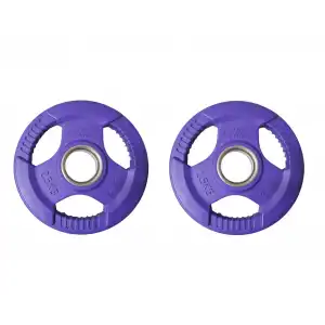 DIESEL FİTNES ROP 4 KAUÇUK FLANŞ PLAKA 2X2.5 KG MOR