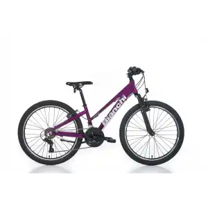 BIANCHI XR24.3 KADIN DAĞ BİSİKLETİ 310H V 24 JANT 21 VİTES MÜRDÜM GRİ