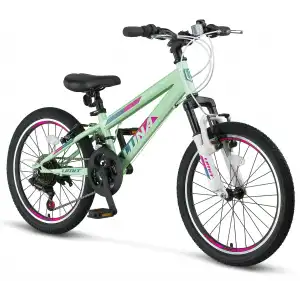 ÜMİT 2469 LUNA KADIN DAĞ BİSİKLETİ V 24 JANT 21 VİTES SRN MİNT