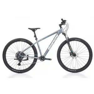 BIANCHI MAGMA 29.2 CUES ERKEK DAĞ BİSİKLETİ 480H HD 29 JANT 9 VİTES LB GRİ BEYAZ