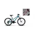CARRARO FORCE 401 KADIN DAĞ BİSİKLETİ 325H V 24 JANT 21 VİTES MAT MÜRDÜM PEMBE