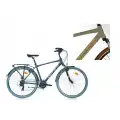 CARRARO ELITE 704 ERKEK ŞEHİR BİSİKLETİ 52H V 28 JANT 21 VİTES MAT METALİK AÇIK YEŞİL KAHVE BAKIR