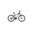 CARRARO SPEED 260 ERKEK DAĞ BİSİKLETİ 410H V 26 JANT 21 VİTES MAT SİYAH YEŞİL KOYU YEŞİL