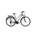 BİSAN TRX 8200 CITY KADIN ŞEHİR BİSİKLETİ 45CM V 28 JANT 21 VİTES MAT MOR BEYAZ MOR