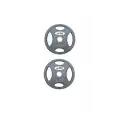 DIESEL FİTNES ROP 4 KAUÇUK FLANŞ PLAKA 2X7.5 KG GRİ