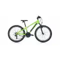 BIANCHI XR24.2 ERKEK DAĞ BİSİKLETİ 310H V 24 JANT 21 VİTES YEŞİL SİYAH