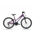 BIANCHI XR24.3 KADIN DAĞ BİSİKLETİ 310H V 24 JANT 21 VİTES MÜRDÜM GRİ